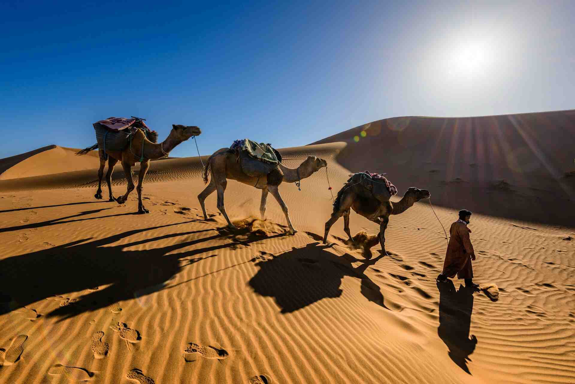 explore-rajasthan-desert-with-us