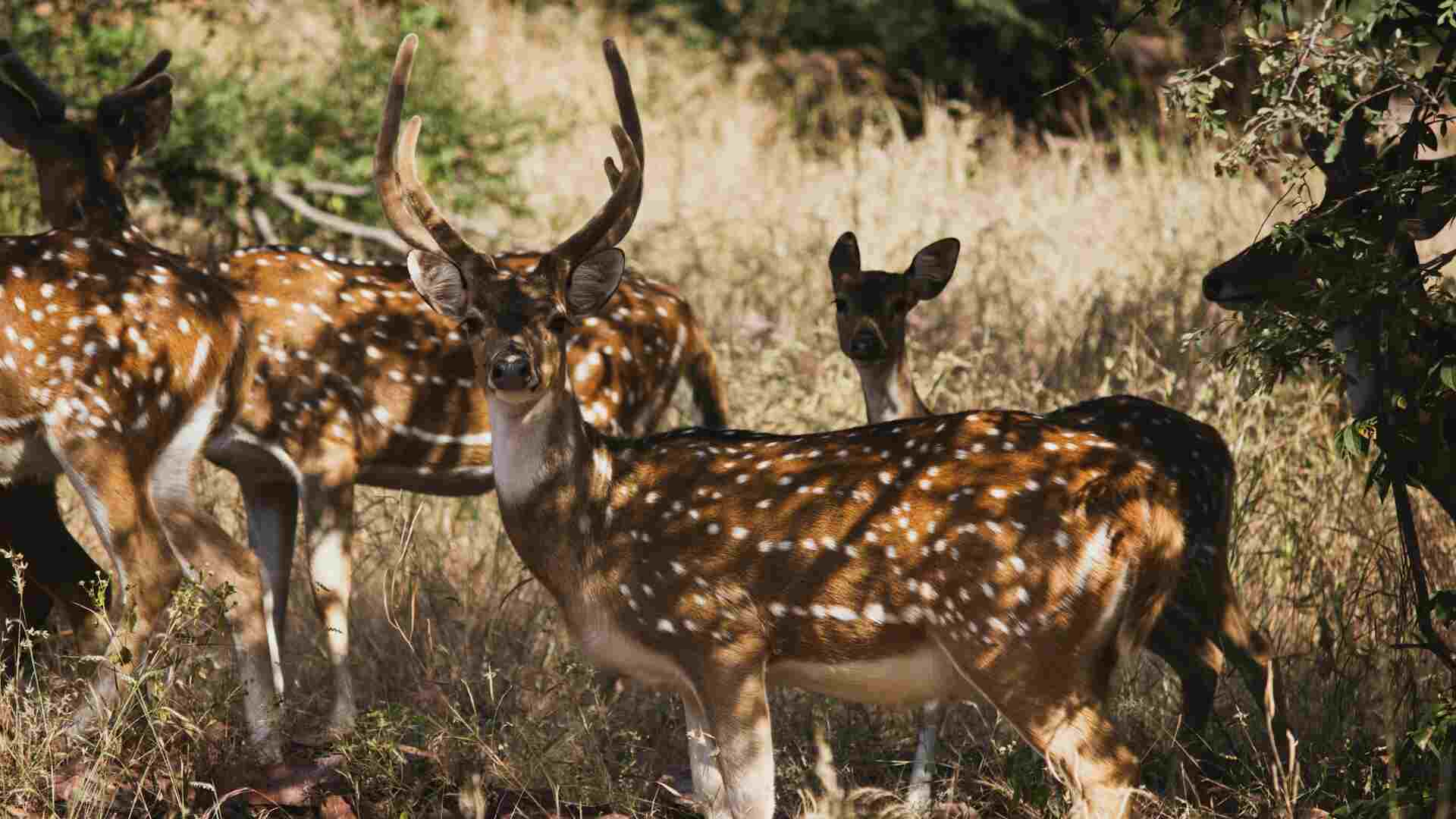 explore-rajasthan-park-with-us